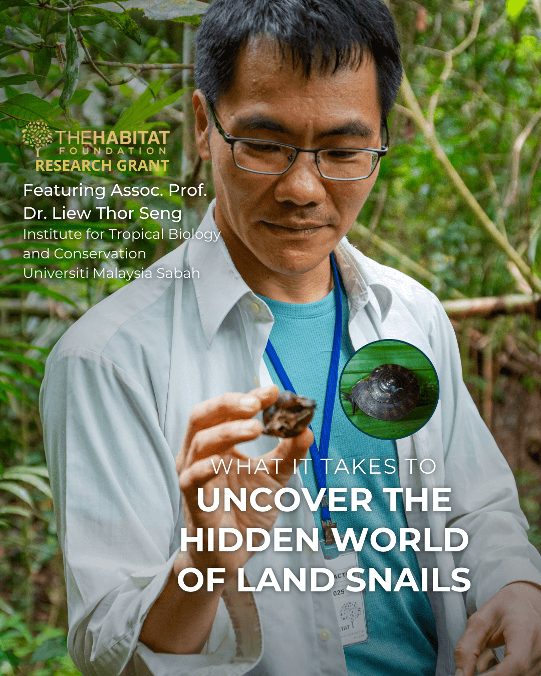Revisiting the Land Snails 1