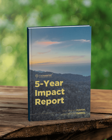cover-impact-report